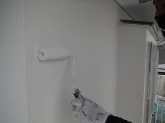 DSCF6234