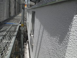 DSCF6241