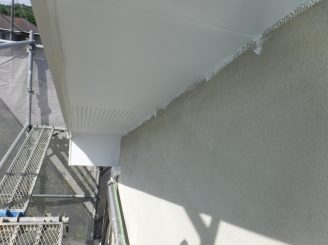 DSCF6954