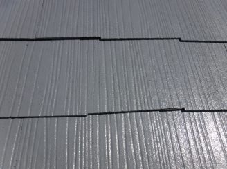 DSCF7124