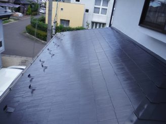 DSCF9464