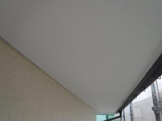 DSCF6091